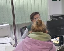 Денежная помощь для ВПЛ в Кировоградской области