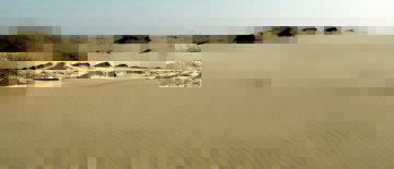 пустыня, засуха, экологическая катастрофа, глобальное потепление