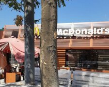 "Закатали в бетон": в Одесі почали знищувати дерева біля "Макдональдса", кадри дикості