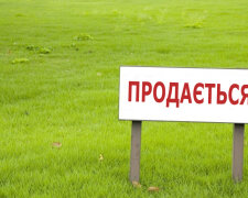 В Украине действует бессрочный мораторий на продажу земли