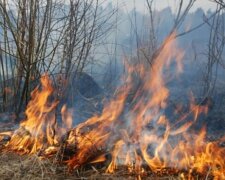 "Настає відповідальність": у Держекоінспекції нагадали про покарання та суми штрафу за спалювання сухої трави