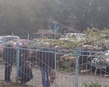 Дерево завалилося і розтрощило автомобілі в Одесі, люди не вірять своїм очам: кадри НП