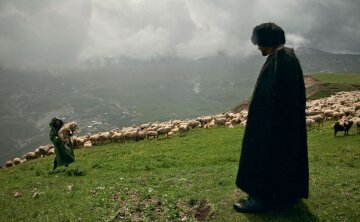 Дагестан пастухи