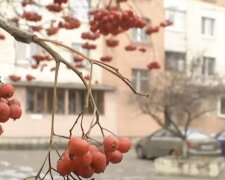 Прогноз погоди у Львові на 10 березня