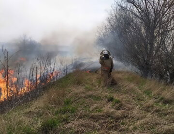 пожар, спасатели, сухая трава, огонь