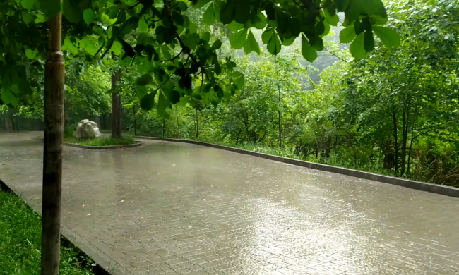 Прогноз погоды на неделю с 23 по 29 апреля в Полтаве.