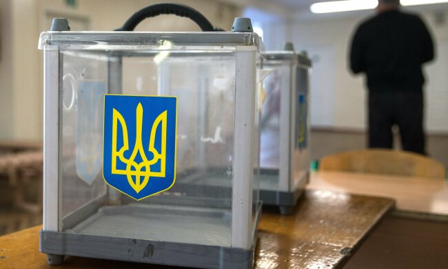 выборы