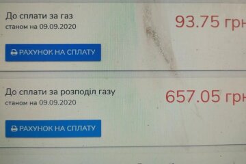 "Коли ви вже понажираєтеся?": українка показала суму за транпортування газу