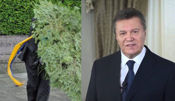 "От атаки яйцом до "Астанавитесь": видео самых нелепых конфузов Януковича