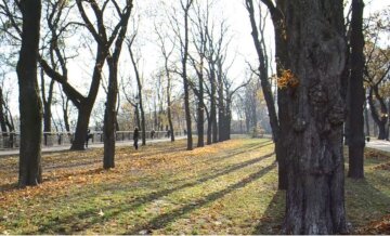 Відлига до +12 прогнала зиму з України, кого погода порадує найбільше: "Пахнутиме весною..."