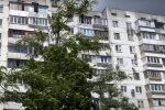 У Києві шкуродер викинув кота з п'ятого поверху, фото: що з твариною