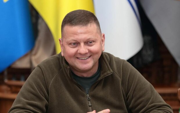 Ми дружимо майже все життя: Залужний розповів про найближчого товарища — фото