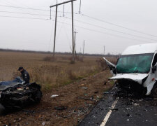 Моторошна ДТП з мікроавтобусом на українській трасі: багато жертв, кадри