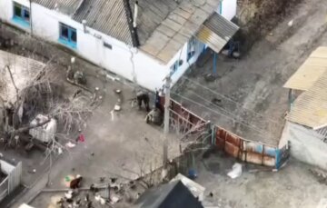 "Вторая армия мира" украла гуся в оккупированном украинском селе: позор попал на видео