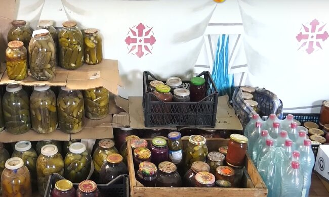 Бесплатные продукты для ВПЛ в Запорожской области