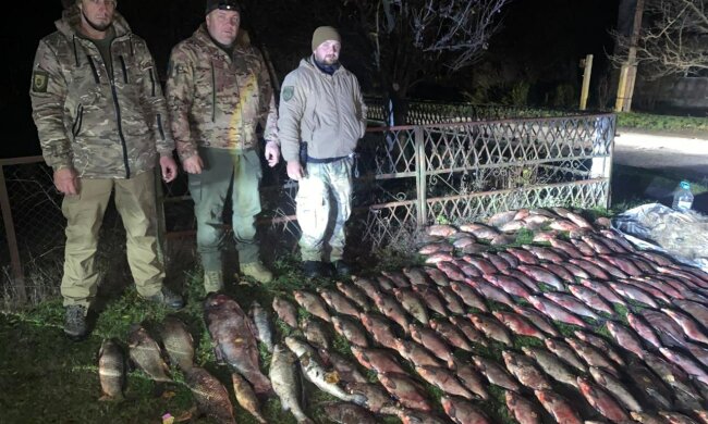 Браконьеры, сетки