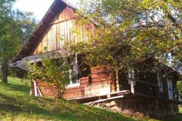 Дом в Карпатах за тысячу долларов: фото