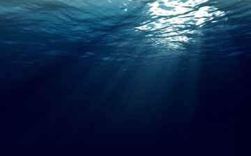 океан ученые