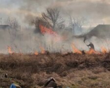 Масштабна пожежа знищила урожай на Харківщині: вигоріло 10 га
