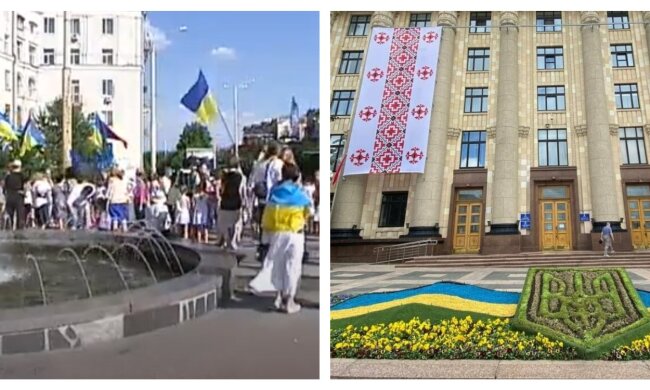 В Харькове с размахом празднуют День вышиванки: "одели" даже ХОГА, фото