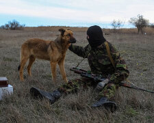 Донбасс, боевик, собака