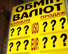 Как изменится курс доллара в Украине: назван тревожный фактор