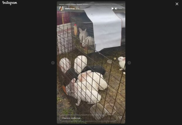 "Холостячка" Мишина после тяжелой болезни отправилась в дом, где выросла: фото "развалюхи" просто поражают