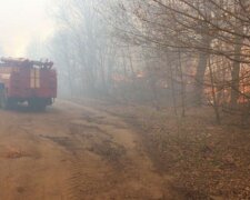 Екологи розробили новий план для боротьби з пожежами в Чорнобильській зоні