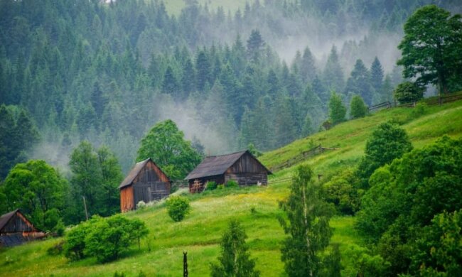 погода, карпаты