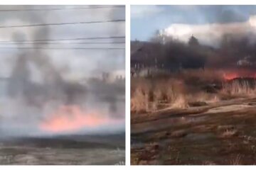 Под Харьковом масштабный пожар подобрался к жилым домам: область окутана черным дымом, кадры