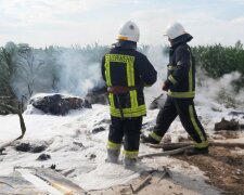 Самолет упал под Киевом: первые кадры с места ЧП