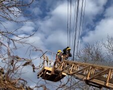 Графіки відключення світла у Харківській області на 11 грудня