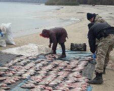 Госэкоинспекция поймала браконьеров в заказнике на Черкасщине: нанесен ущерб в 155 тысяч гривен