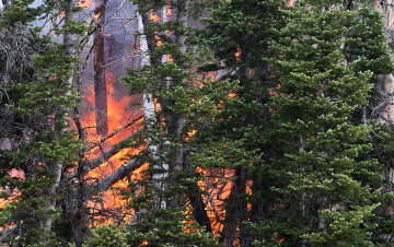Wild Fire In Southern Utah Forces Evacuations
