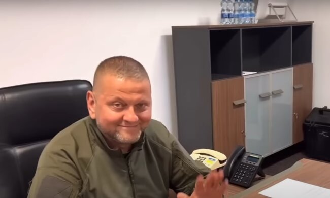 "Ну прямо одне лице": українці помітили схожість Залужного з дружиною, зворушливі фото