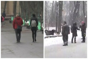 Климат в Украине кардинально изменится, о зиме можно забыть: синоптик сделал важное предупреждение
