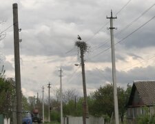 Графіки відключення світла у Дніпропетровській області на 22 травня