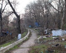 "Завалили мусором и вырубили деревья": одесситы потеряли любимое место отдыха, пугающие кадры