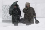 снег зима