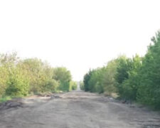 "Головне, що є напрямок": як виглядає найгірша дорога в Україні