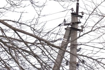 Графики отключения света на 30 декабря в Чернигове