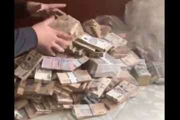 У экс-замминистра обороны нашли миллионы в диване: "Недоедал - копил копейки на старость"