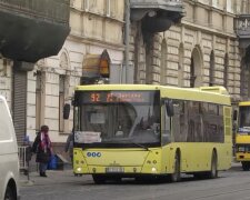 Подорожание проезда во Львовской области