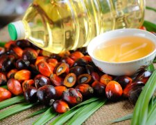 Доведеться обмежувати себе у їжі: що спричинить за собою заборона пальмової олії в Україні