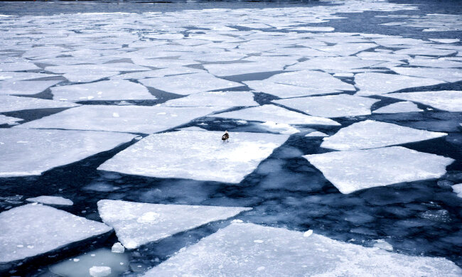 лед, льдина