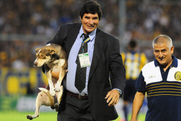 Dog-Pitch-Invader-5