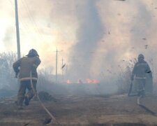 Пожежа охопила два гектари території під Одесою: фото і подробиці масштабного НП