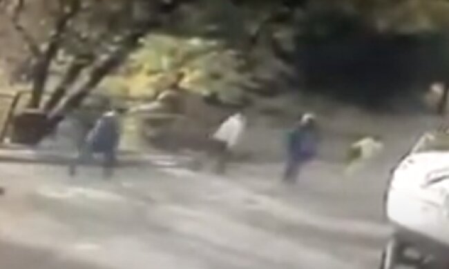 "Шансів вижити немає": невідомі люди розкидають отруту по Одесі, оприлюднено відео