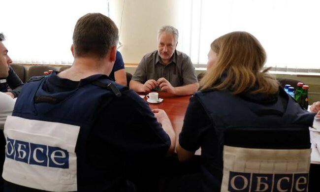 ОБСЕ-Жебривский
