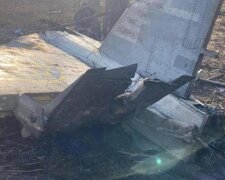 "Самолёт и пилот загорелись": новые подробности и кадры с места авиакатастрофы под Киевом